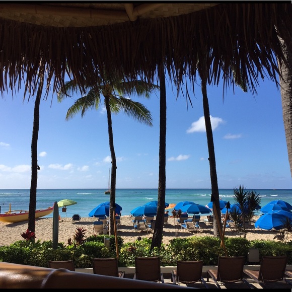 Meet your Posher, Cindy - Picture 2 of 2